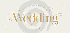 Wedding alphabet letters logos font with tails. Typography elegant oriental luxury classic serif fonts and number decorative