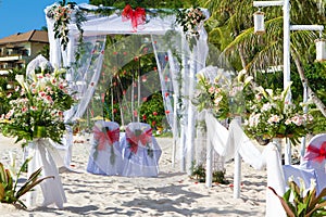 Wedding arch and set up