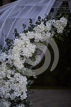 Wedding arch of white flowers and tulle in nature