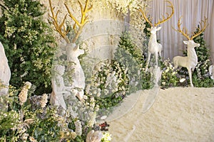 Wedding backdrop with flower and wedding decoration