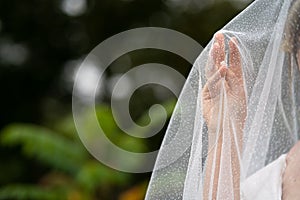 Wedding background, the bride`s hand under the veil