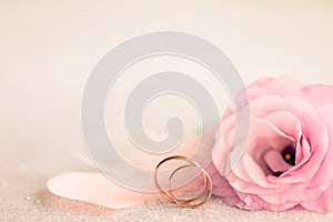 Svadba zlato krúžky jemný kvetina a svetlo 