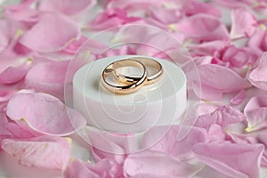 wedding background. gold wedding rings and pink rose petals on white satin fabric. marriage concept.