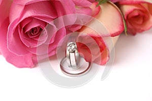 Wedding bands and roses