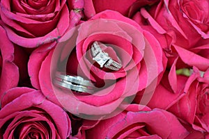 Wedding Bands and Roses