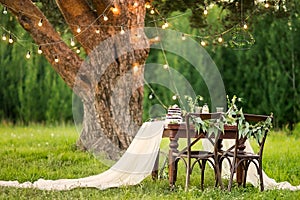 Wedding banquet in the field at the pine tree. Chairs and honeymooners table decorated