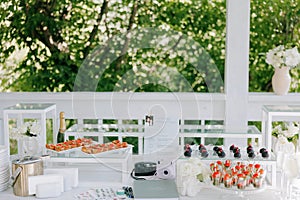 Wedding banquet table setting with champagne bottle, wineglasses, snacks and canapes