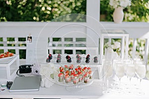 Wedding banquet table setting with wineglasses, snacks and canapes
