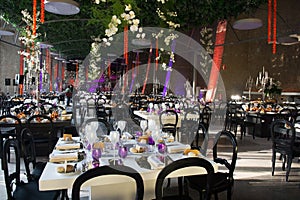 Wedding Banquet Tables Decoration, Dinner Party, Event