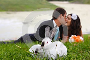 Wedding, beautiful young bride kiss groom in love with two rabbi