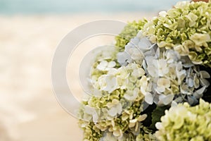 Wedding bouquet during the ceremony. Banner with hydrangeas for a flower salon.