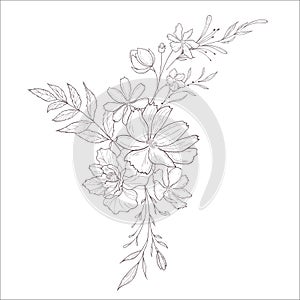 Wedding Bouquet. Line Art Vector Illustration.