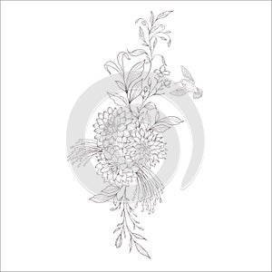 Wedding Bouquet. Line Art Vector Illustration.