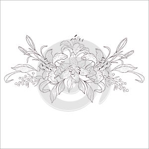 Wedding Bouquet. Line Art Vector Illustration.