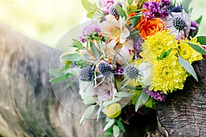 Wedding bouquet on tree