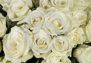 Wedding bouquet of White Rose