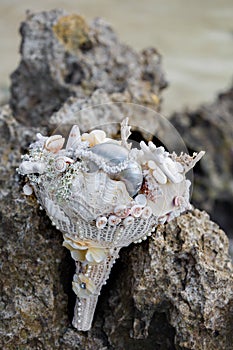 Wedding bridal bouquet made â€‹â€‹of shells and pearls and other