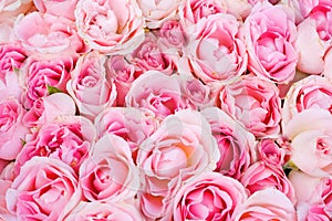 Wedding bridal roses from above of