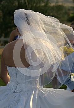 Wedding Bridal Veil 2