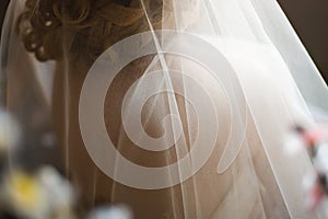 Wedding bridal veil