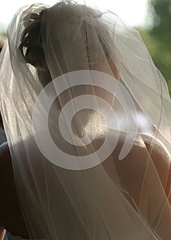 Wedding Bridal Veil