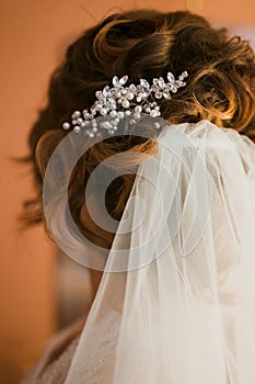 Wedding bridal veil