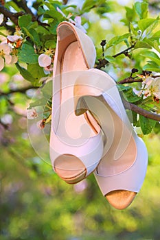 Wedding bride shoes on apple tree branch. Wedding receptions concept