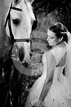 Wedding. Bride with white horse.