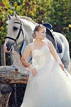 Wedding. Bride with white horse.