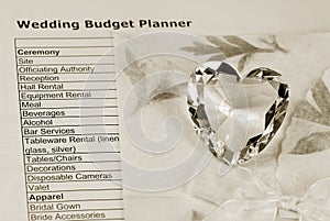 Wedding budget planner