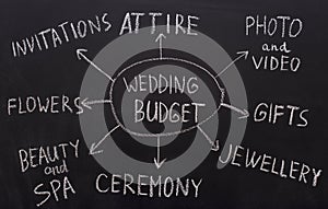 Wedding budget planning graph with all spendings