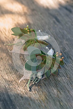 Wedding butonniere with succulent flowers, close-up. Wedding day.