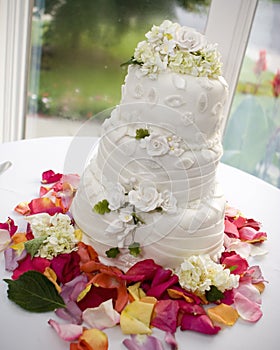 Wedding cake