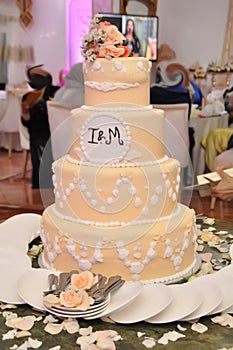 Wedding cake cakes weddings tier tiers tiered marriage marriages divorce divorces rate rates day anniversary anniversaries