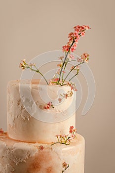 Wedding cake close up