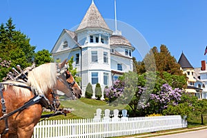 Wedding Cake Cottage on West Bluff Road - Mackinac Island photo