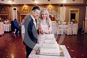 Wedding cake cutting