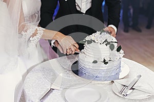 Wedding cake. gorgeous bride and stylish groom cutting stylish wedding cake with flowers at wedding reception in restaurant.