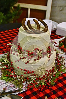 Wedding cake with horseshoes