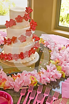 Wedding Cake In Pink and Red