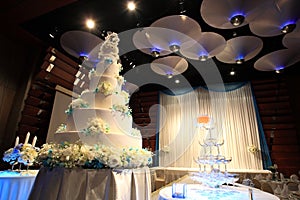 Wedding cake reception party