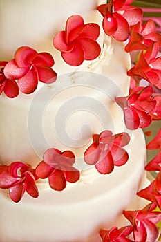 Wedding Cake with red flowers
