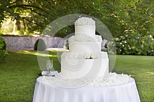 Wedding cake with roses