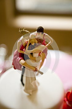 Wedding Cake Topper Depicting One Man with Several Women