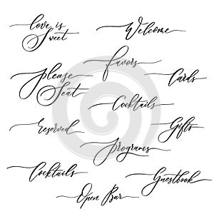 Wedding calligraphic inscriptions - welcome,open bar, please seat, reserved, gifts, cards, programs