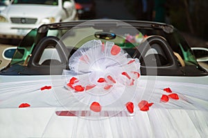 Wedding car back view and petals on top. Luxury wedding car decorated with flowers.just married sign and cans attached.