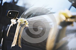 Wedding car decorating with white ribbon for newlywed
