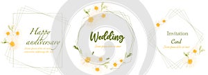 Wedding cards with delicate chamomile flowers vector watercolors