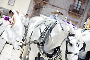 Wedding carriage with horses