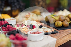 Wedding catering outdoor close up. food on buffet on wedding celebration